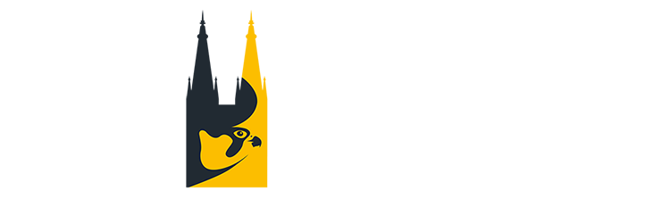 Logo Hacking Halcón Peregrino Burgos Footer